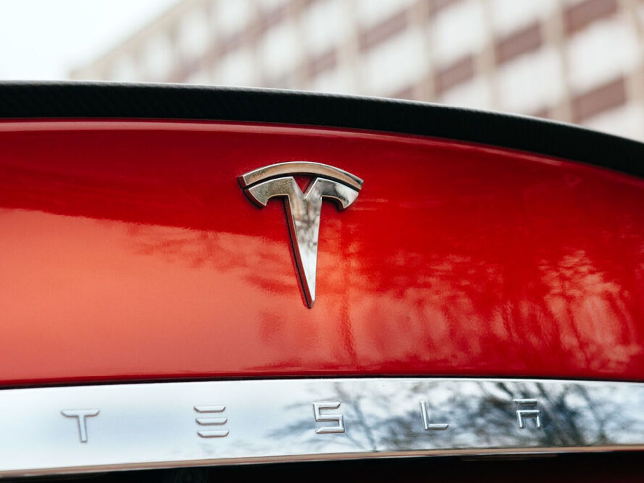 Tesla врезалась в дерево, после чего загорелась
