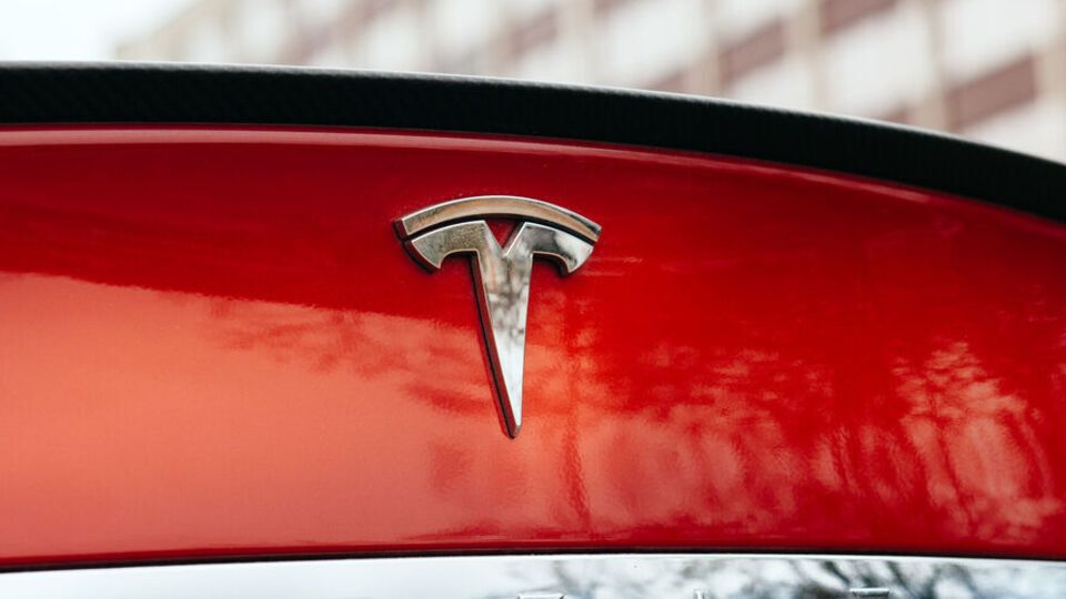 Tesla врізалася в дерево, після чого загорілася