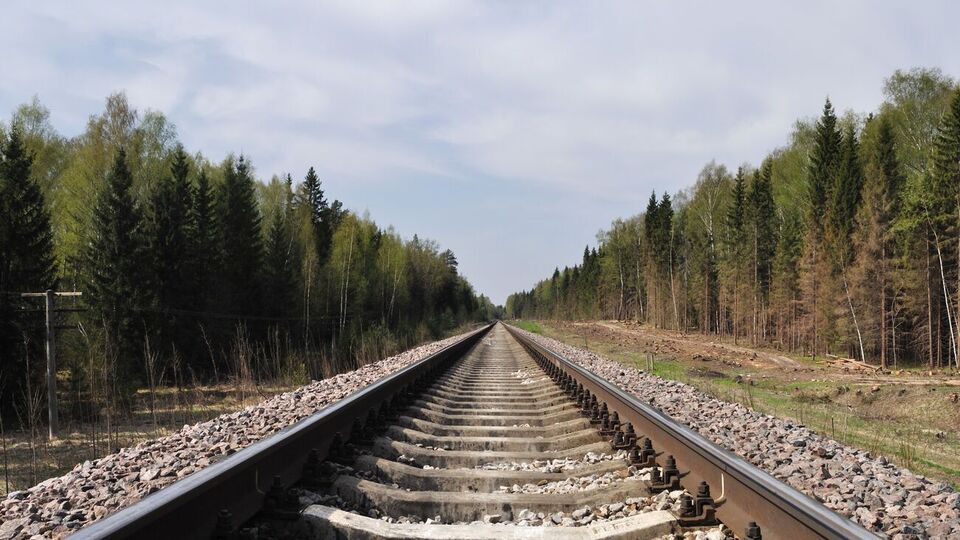 За попередніми даними, причиною аварії стали грубі порушення в утриманні верхньої будови колій