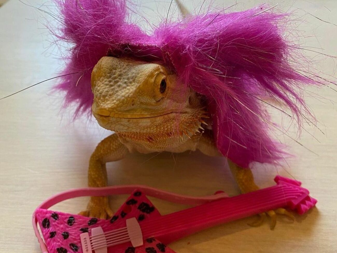 Игуану представили в очеловеченном образе