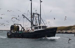 Судно имело порт приписки Очаков