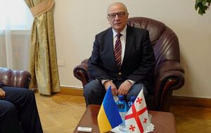 МИД Грузии отзывал Шарашенидзе для консультаций