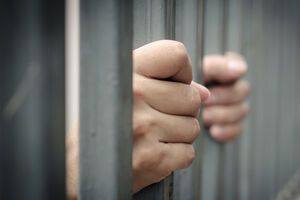 В Україні Волошин деякий час перебував у Лук'янівському СІЗО, а потім – під домашнім арештом, але згодом його випустили