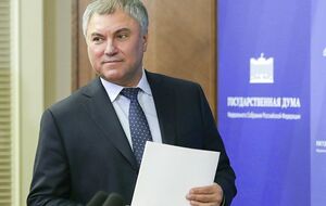 В документах суррогатного ребенка Володина – прочерк в графе "мать", пишут СМИ