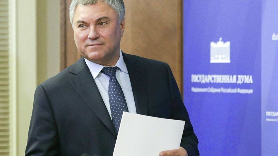 У документах сурогатної дитини Володіна – прочерк у графі "мати", пишуть ЗМІ