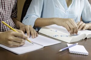 Результаты дополнительной сессии будут опубликованы на информационных страницах участников ВНО до 23 июля