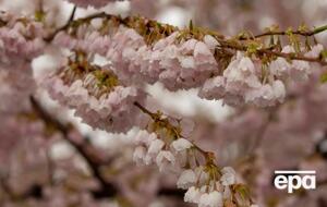 В Україні 26 квітня падав сніг