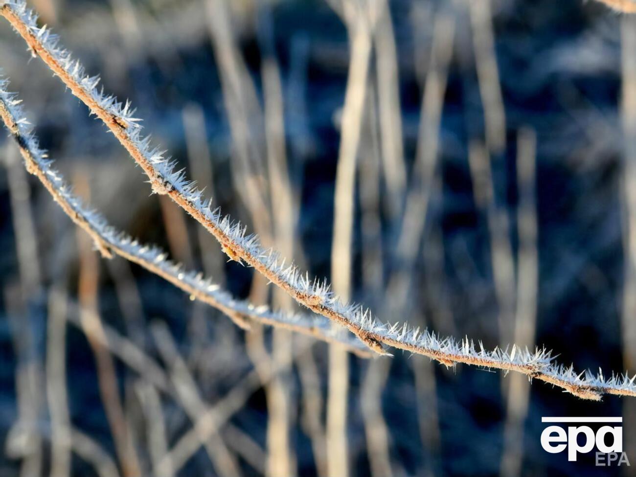В Україні прогнозують заморозки