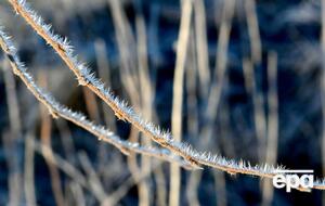 В Україні прогнозують заморозки