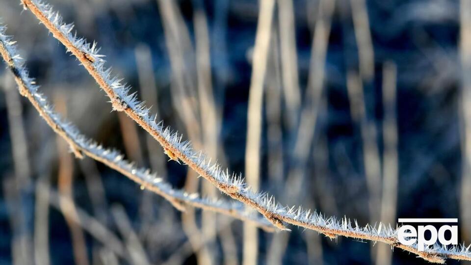В Україні прогнозують заморозки
