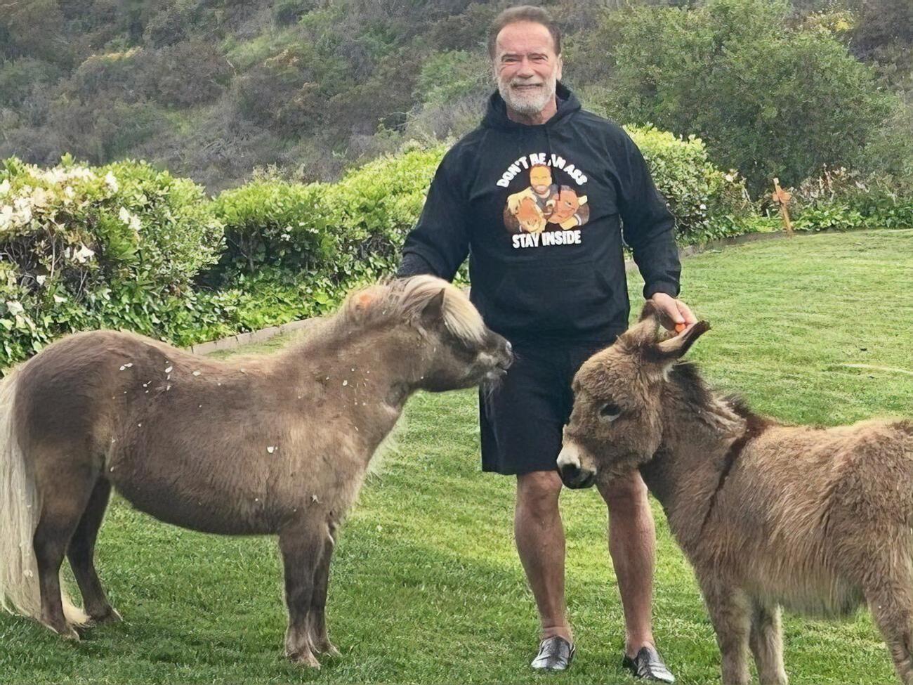 Шварценеггер ни разу не номинировался на "Оскар"