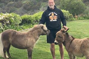 Шварценеггер ни разу не номинировался на "Оскар"