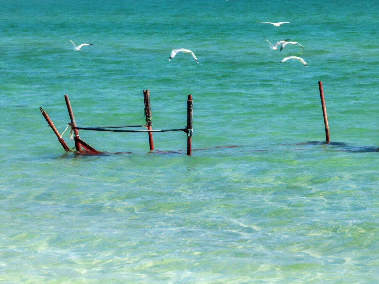 Оккупационные власти Крыма заявили, что будут искать запасы пресной воды на дне Азовского моря