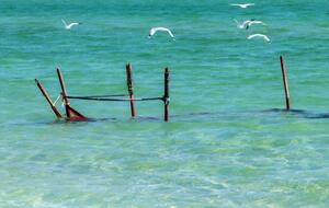 Оккупационные власти Крыма заявили, что будут искать запасы пресной воды на дне Азовского моря