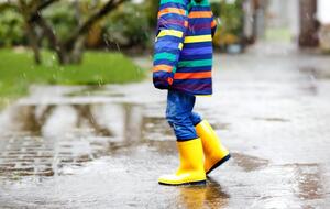 У східних і південних областях синоптики обіцяють грози