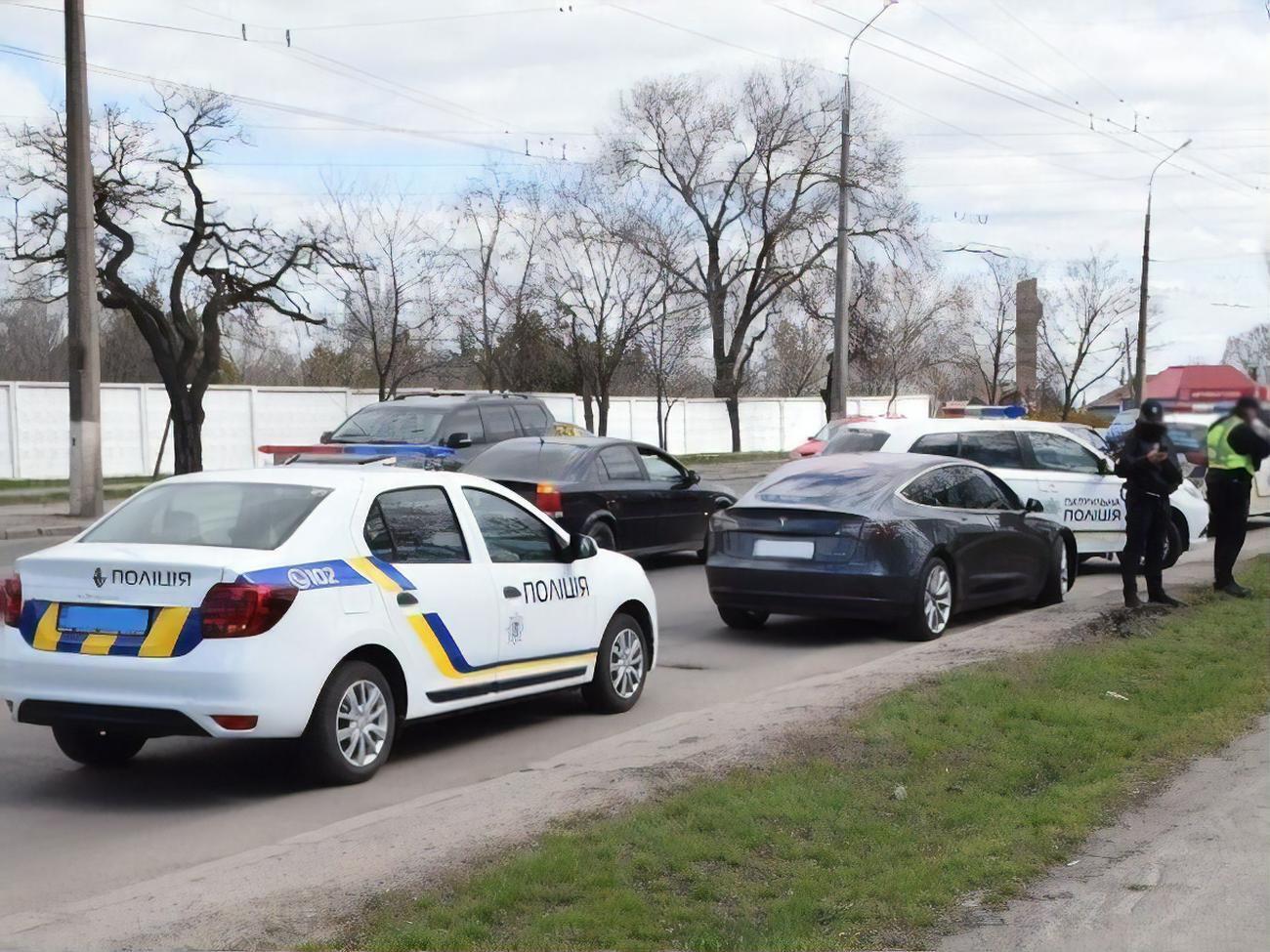 Інцидент стався в районі зоопарку