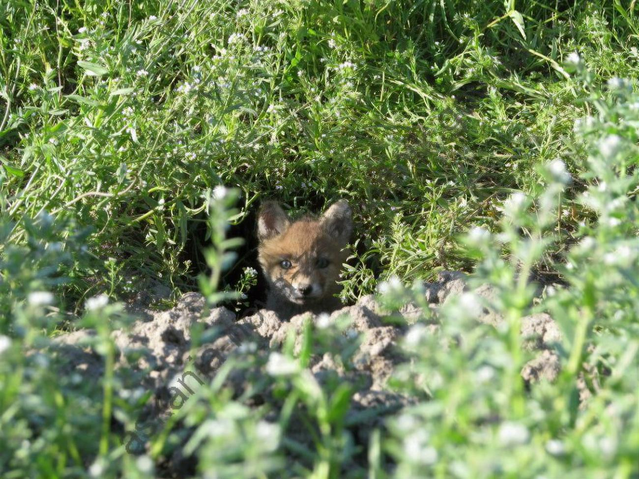 Заповеднику больше 100 лет