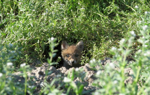 Заповеднику больше 100 лет