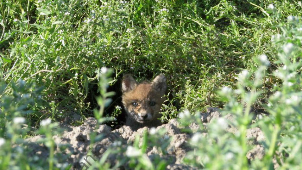 Заповеднику больше 100 лет