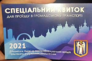 Девушке грозит ограничение свободы на срок до двух лет