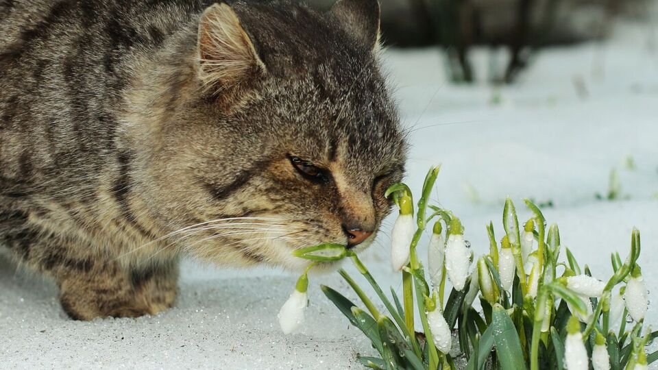 6–8 апреля в Украине ожидается циклон