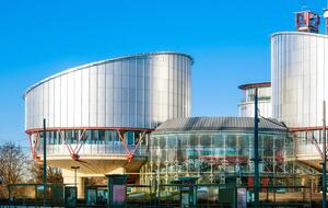 Пастрама вимагала €50 тис. як компенсацію моральної та матеріальної шкоди, ЄСПЛ присудив €2,7 тис.