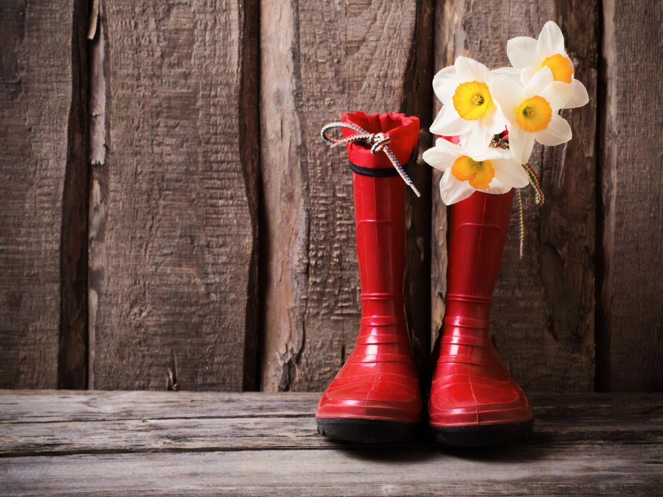 Синоптики прогнозують, що середньомісячна температура у квітні становитиме +8...+11 &deg;С