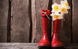 Синоптики прогнозують, що середньомісячна температура у квітні становитиме +8...+11 °С