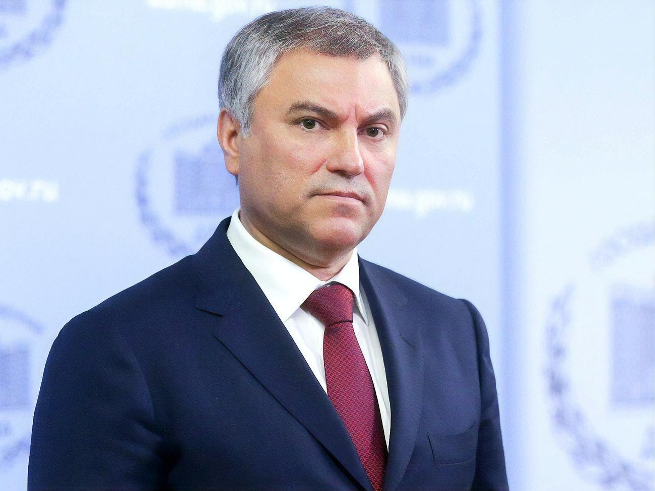 Володін пообіцяв ще раз зустрітися з пенсіонеркою, яка скаржилася на владу