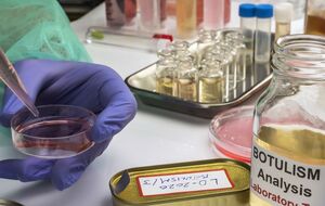 Специалисты проводят лабораторные исследования для подтверждения заболевания ботулизмом трех человек