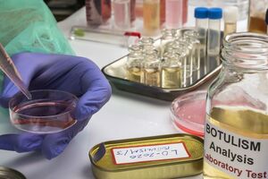 Специалисты проводят лабораторные исследования для подтверждения заболевания ботулизмом трех человек