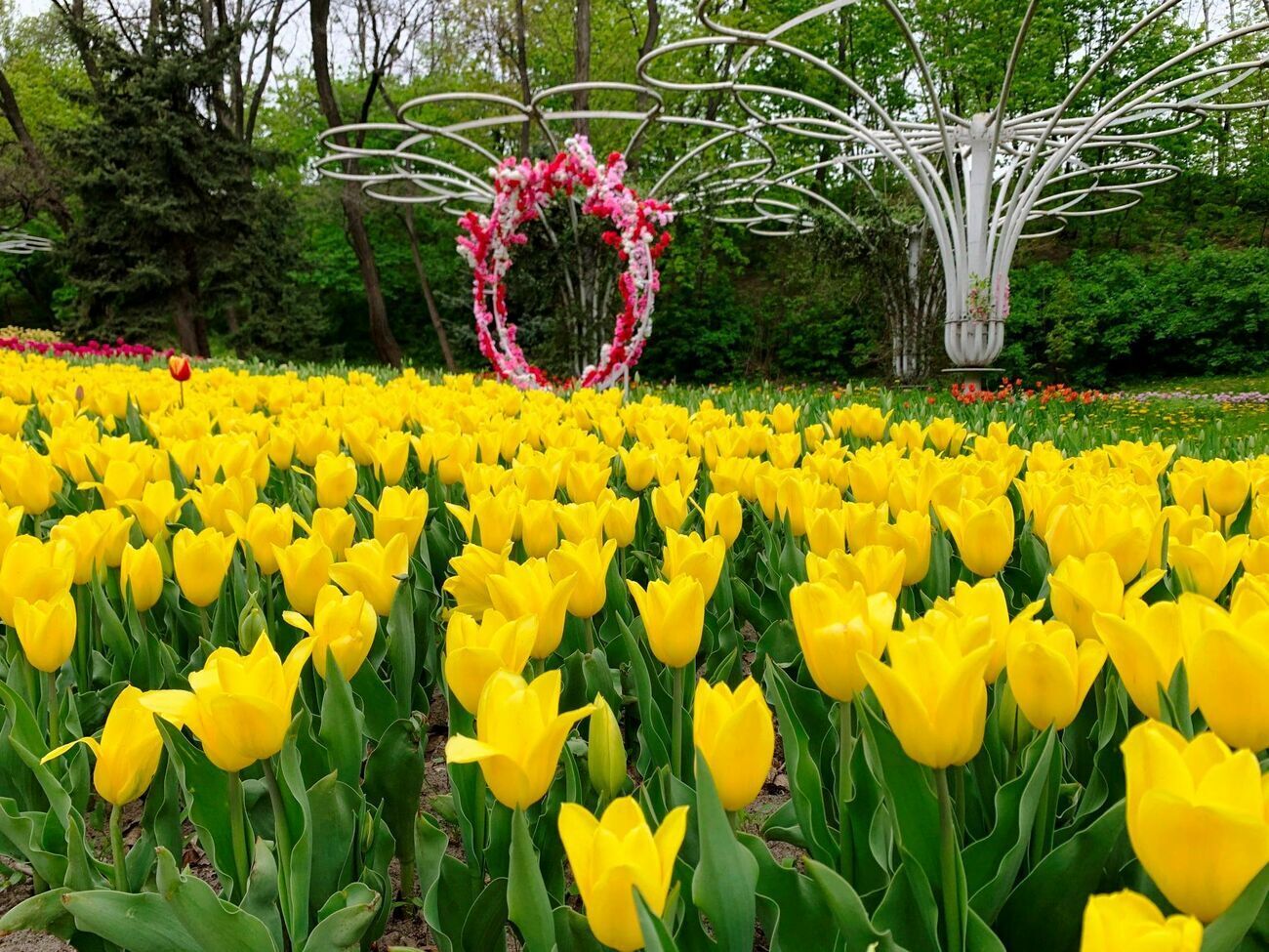 По заказу&nbsp;"Киевзеленстроя" в 2019-м и 2020 году проводилась реконструкция парков отдыха