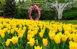 По заказу "Киевзеленстроя" в 2019-м и 2020 году проводилась реконструкция парков отдыха