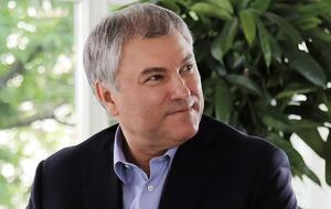 Володін заявив, що для запобігання агресії підлітків "потрібні додаткові рішення"