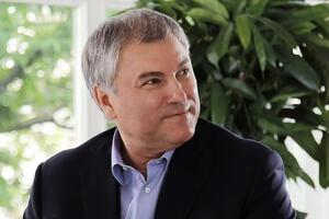 Володін заявив, що для запобігання агресії підлітків "потрібні додаткові рішення"