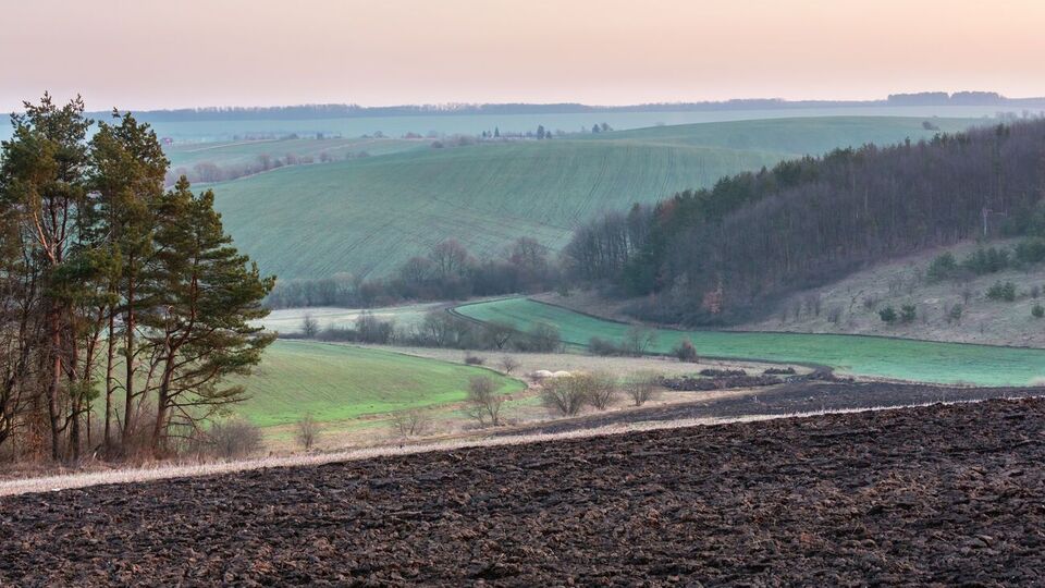 Ринок землі в Україні має запрацювати з 1 липня