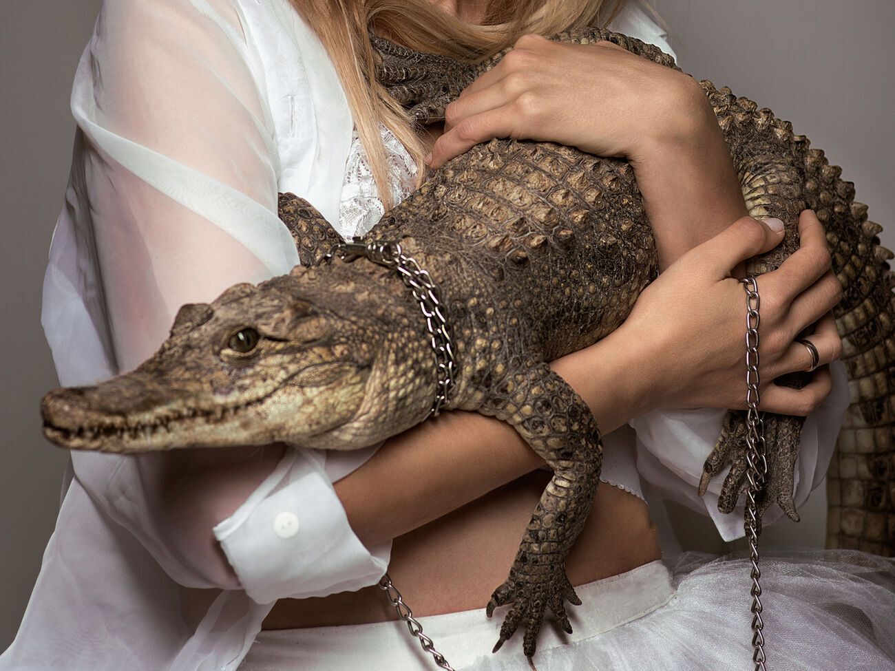 Зоозащитники призвали отдыхающих отказаться от фотографирования с животными