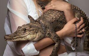 Зоозащитники призвали отдыхающих отказаться от фотографирования с животными