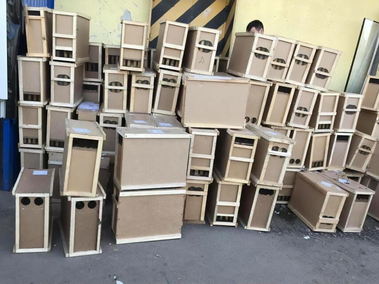 Пасечники намерены судиться с почтой за гибель пчел во время перевозки