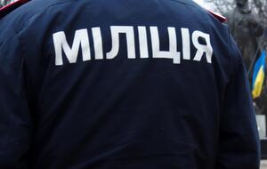 За словами Погребної, міліціонери допитували її вночі, погрожували і принижували гідність, а потім відвезли у психіатричну лікарню