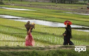 Индия – второй производитель чая в мире