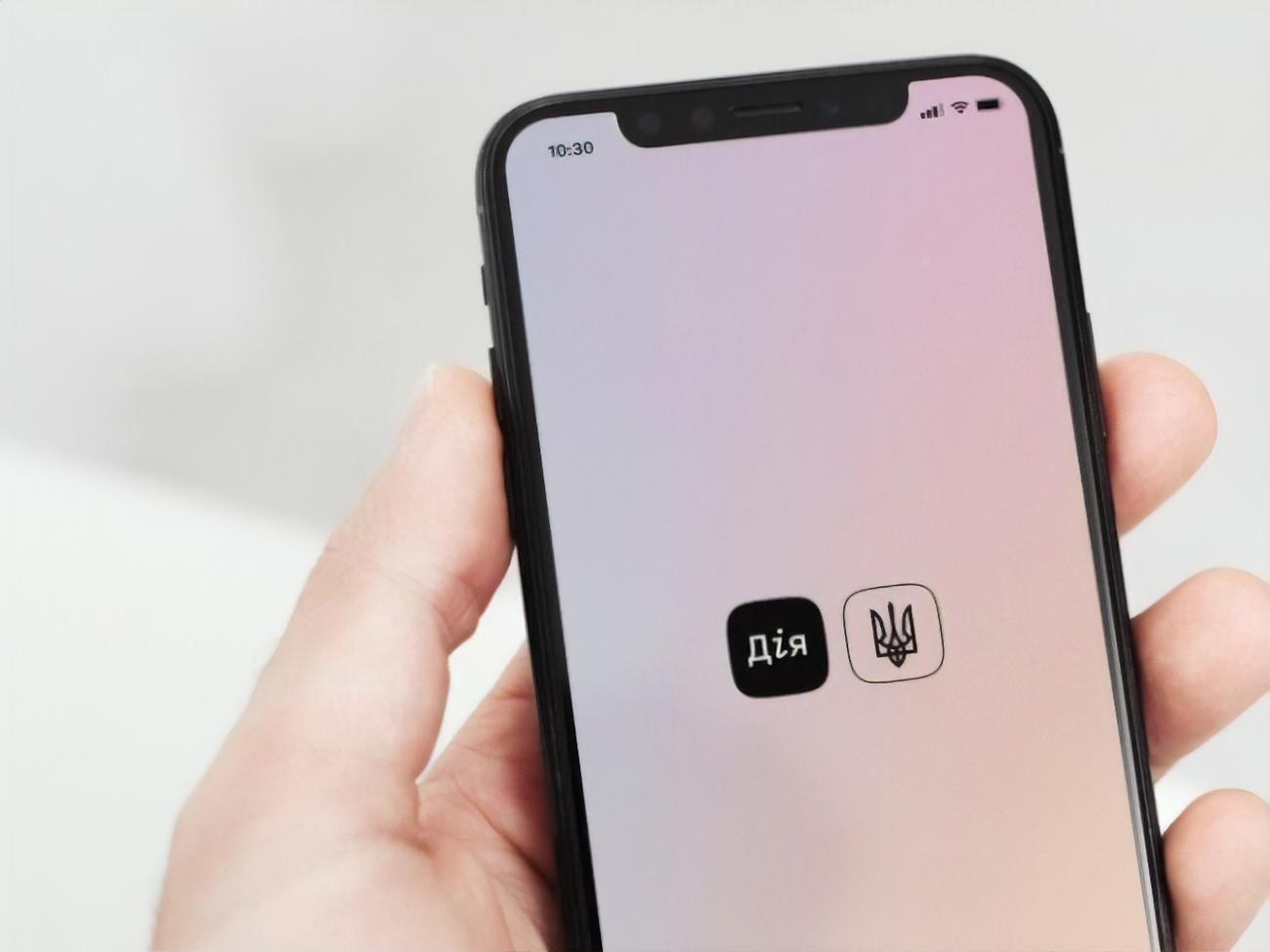 Портал державних послуг "Дія" розпочав свою діяльність у квітні 2020 року