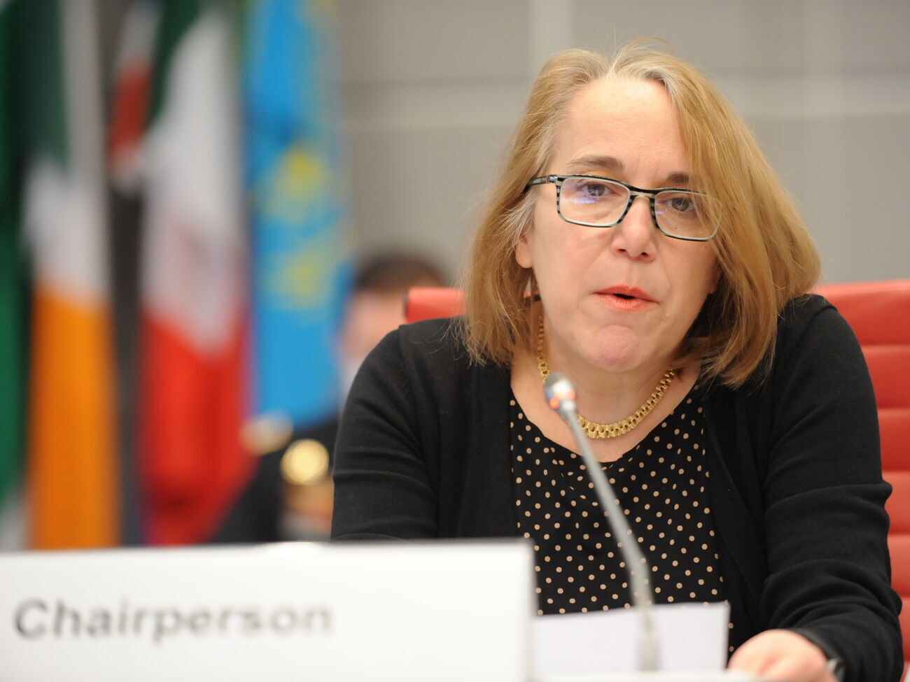 Россия &ndash; агрессор в конфликте на Донбассе, отметила&nbsp;Остриан