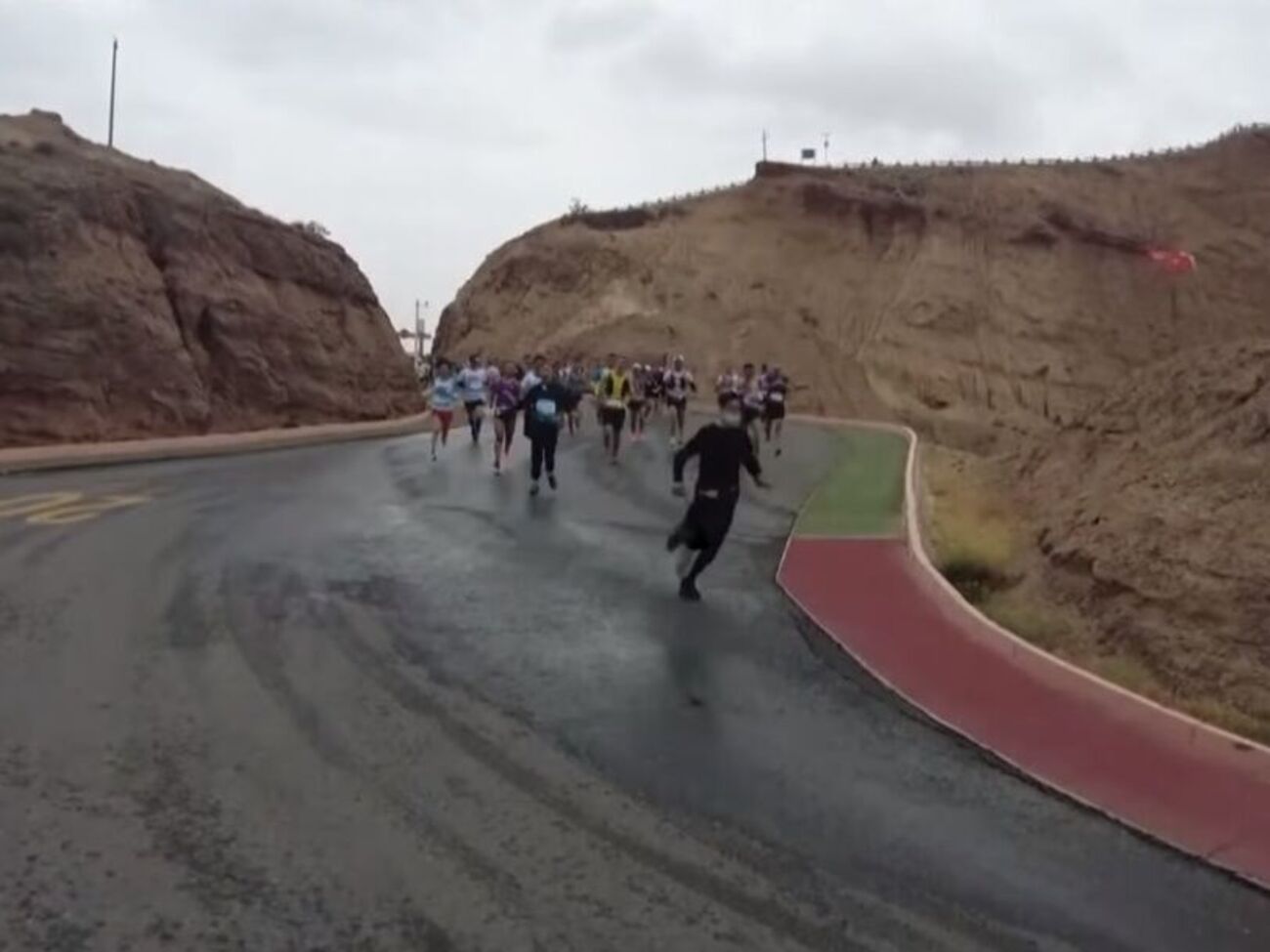 В марафоне принимали участие 172 человека