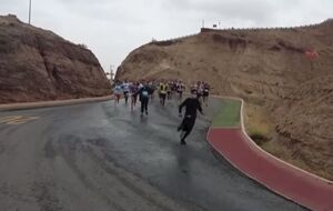 В марафоне принимали участие 172 человека