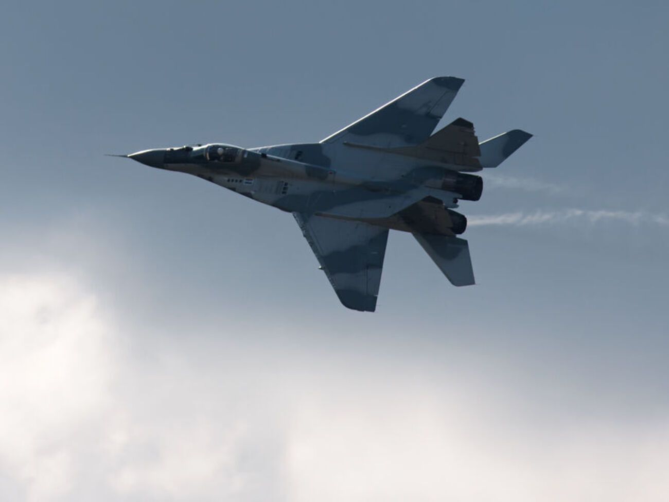 Истребитель МиГ-29 сопровождал самолет с белорусским оппозиционером на борту