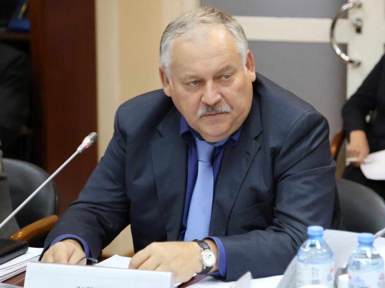 Історія затримання Протасевича має досить одіозний вигляд, зазначив Затулін