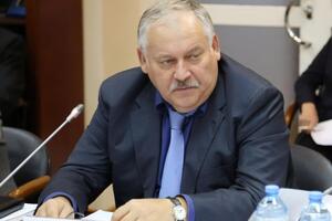 Історія затримання Протасевича має досить одіозний вигляд, зазначив Затулін