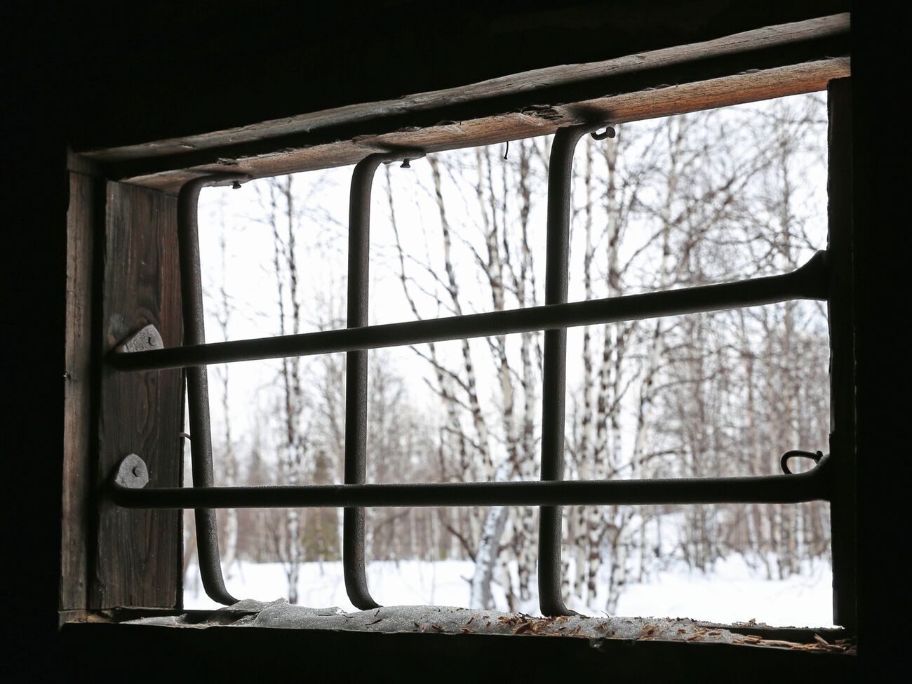 В России призывают "не пугаться страшилок про ГУЛАГ" и возродить исправительные лагеря