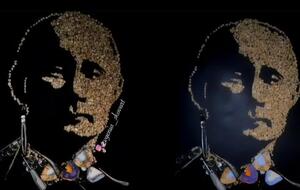 На картину ушло 500 зубов